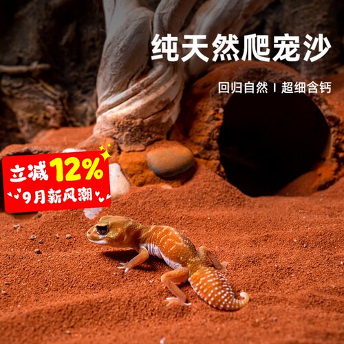 宠维奥爬宠钙沙造景模拟自然