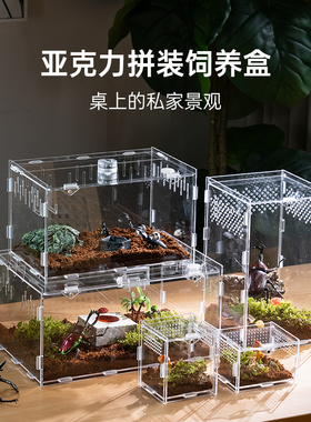 甲虫饲养盒透明亚克力爬虫饲养箱蜗牛小型昆虫独角仙幼虫套装盒子