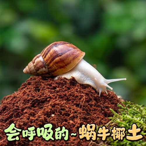 宠维奥宠物蜗牛椰土垫材保湿透气