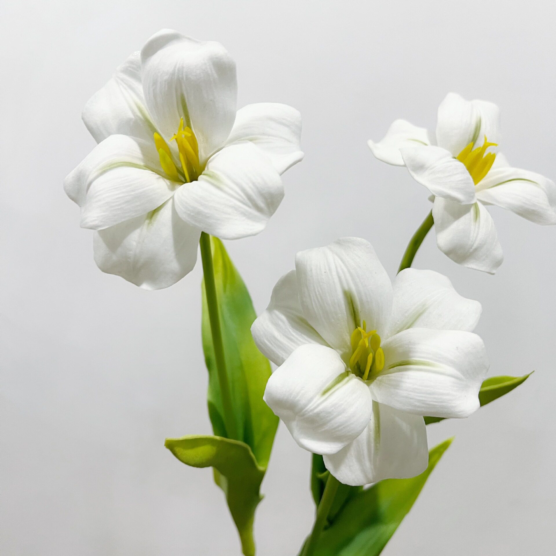 含阳仿真花布朗尼郁金香