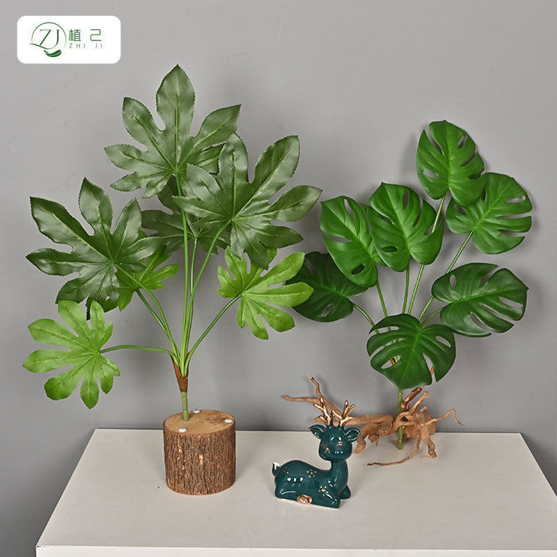 仿真手感绿植彩芋春芋龟