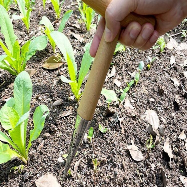 种菜专用工具神器农业施肥打孔器泥土打洞移苗器家用园艺播种移栽