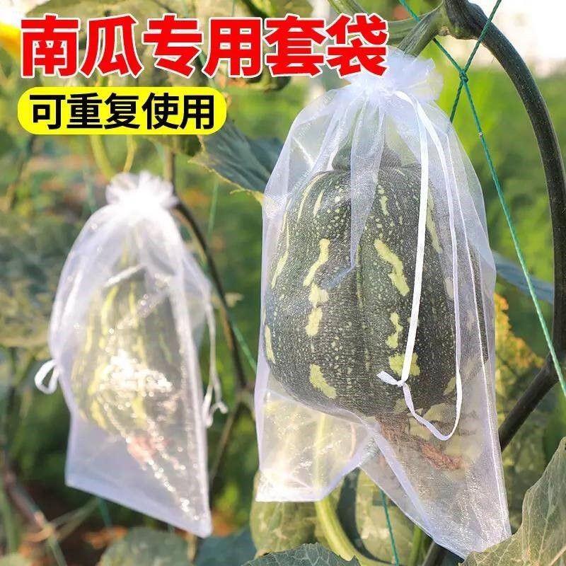南瓜套袋防虫袋专用网袋尼龙丝防鸟袋子西瓜冬瓜柚子水果蔬果网套