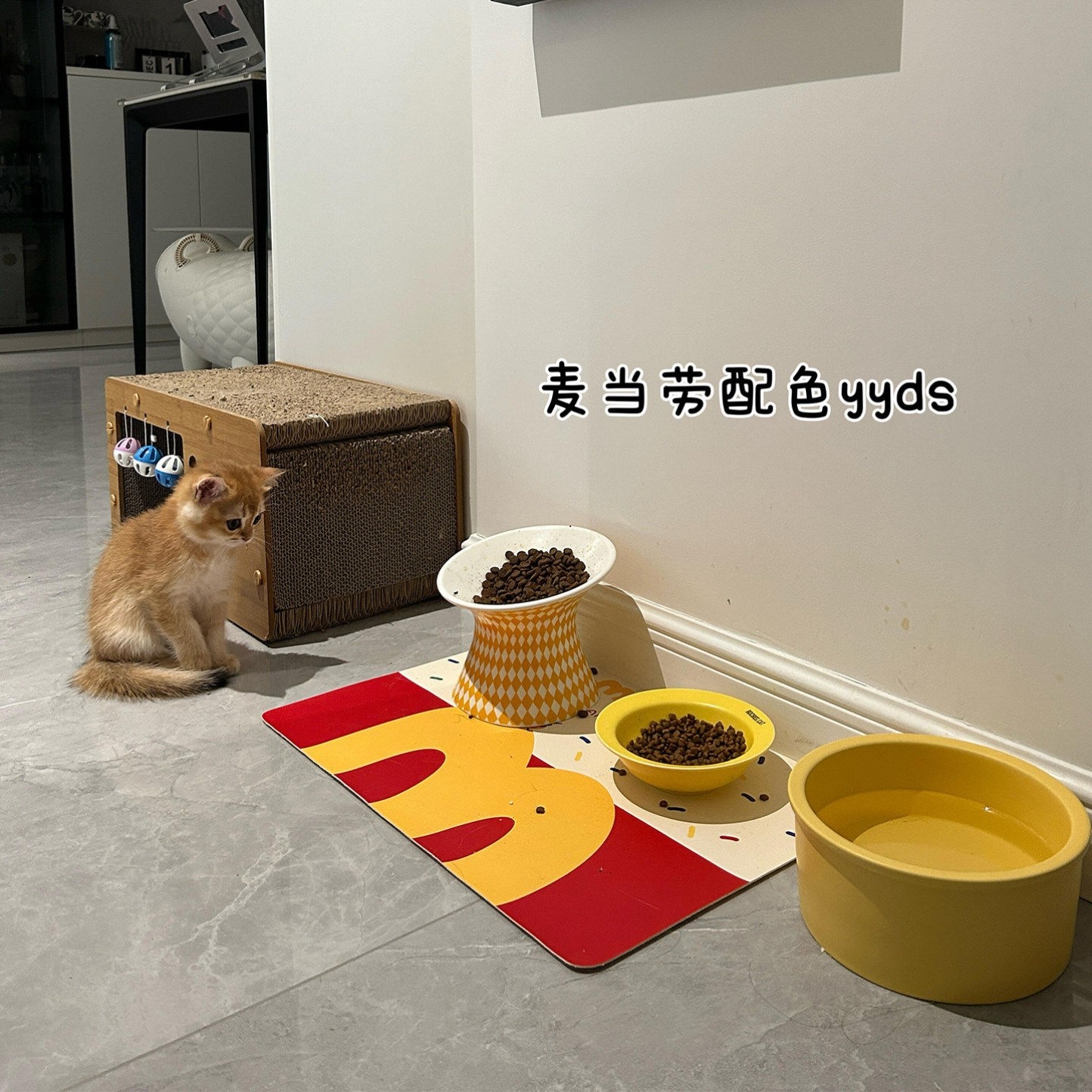 宠物餐垫猫咪专用吃饭垫子防水防油PU皮革可擦不沾毛猫碗垫子防溅