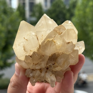 天然巴基斯坦黄泥骸骨骨干水晶原石带皮标本矿物摆件