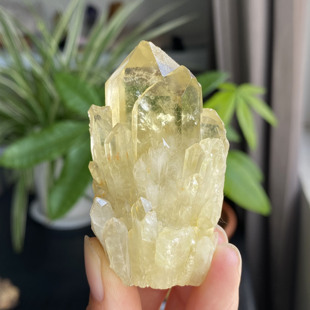 纯天然黄水晶城堡簇巴西黄水晶晶簇原石原矿家居装饰办公桌摆件