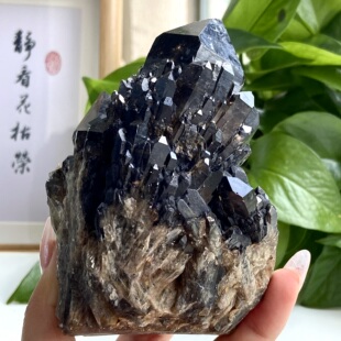 天然黑水晶簇茶晶簇巴西菠萝城堡原石教学标本客厅桌面摆件装饰