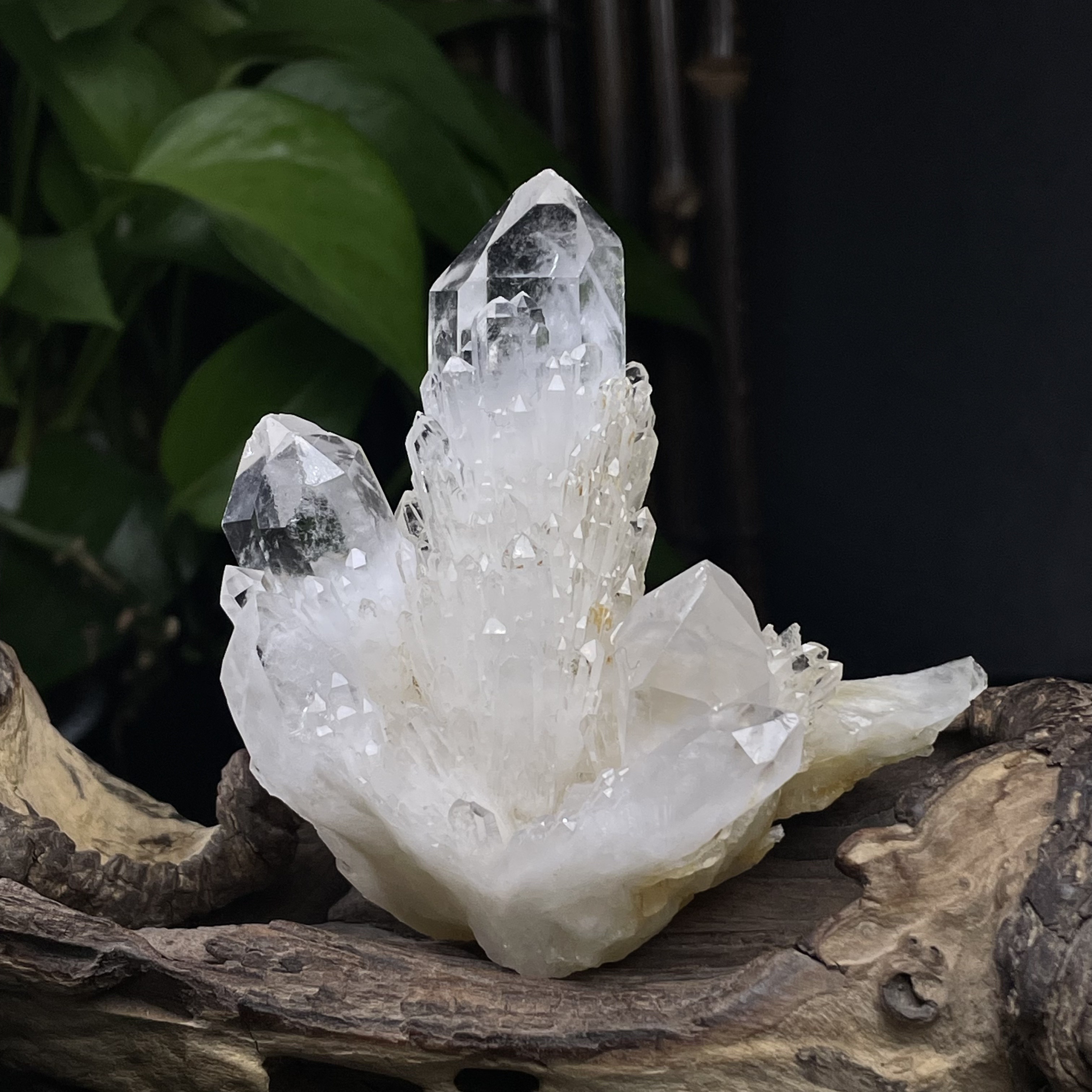 天然白水晶菠萝簇摆件菠萝晶骨干原石手链净化消磁家居客厅装饰品