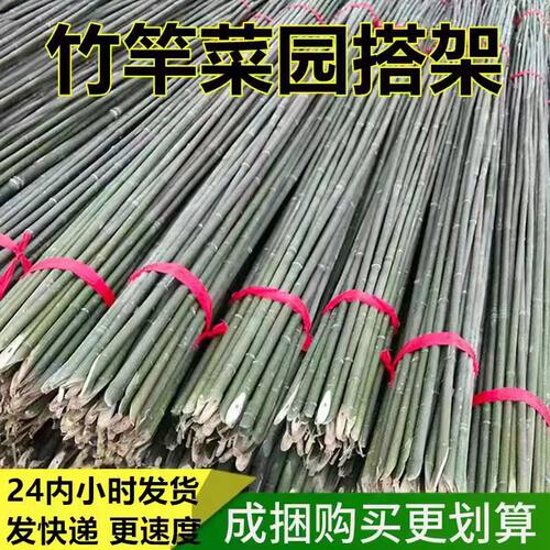 竹竿菜园搭架蔬菜黄瓜番茄豆角架
