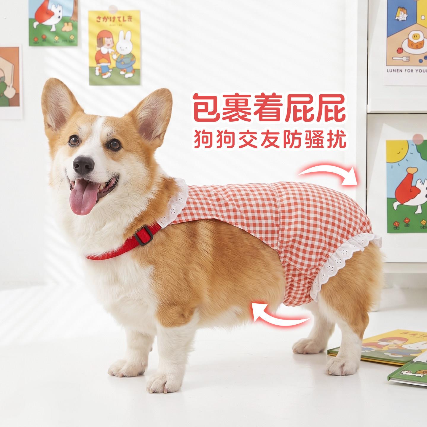 宠物狗母狗狗姨妈裤女狗柯基月经生理裤柴犬小狗外出防交配安全裤