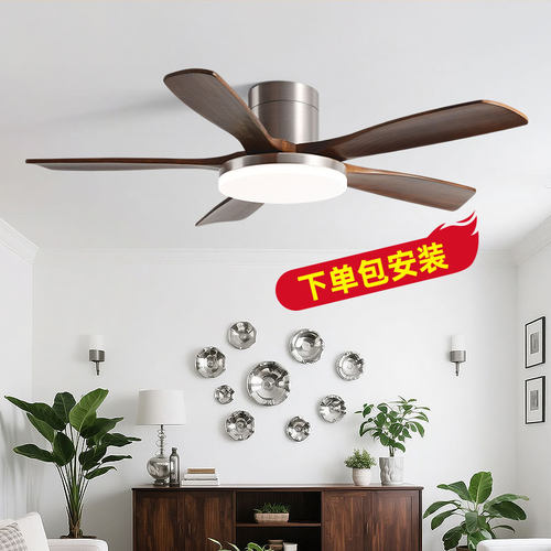 北欧风扇灯吊灯客厅灯