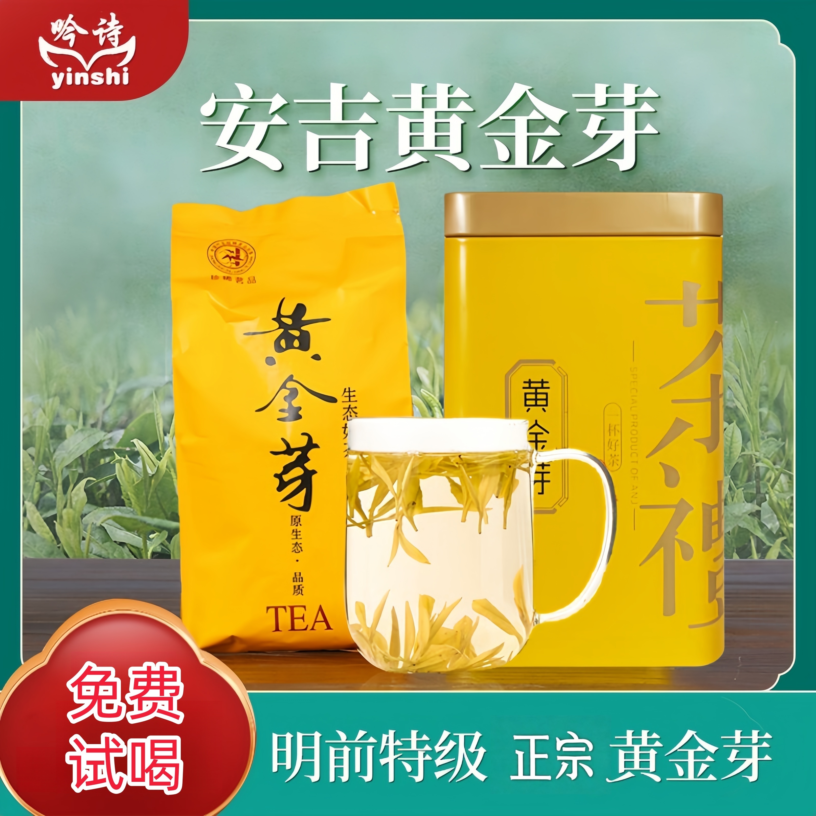 2025年新茶特级黄金芽白茶安吉黄芽口粮送人送礼盒装安吉原产地