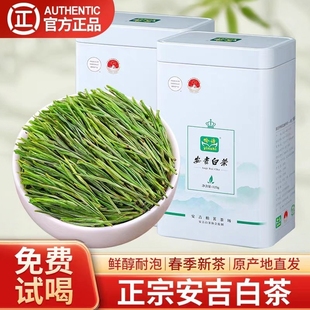 2025新茶明前特级高山安吉白茶口粮茶罐装绿茶叶兰花香浓香型春茶