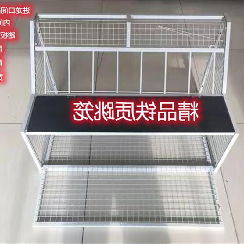 鸽子跳笼  鸽棚鸽舍进口 只进不出跳笼 放飞笼门信鸽赛鸽用品用具