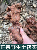 土茯苓新鲜干鱼中药材白肉粉质广东煲汤袪湿气茶湖南怀化500克