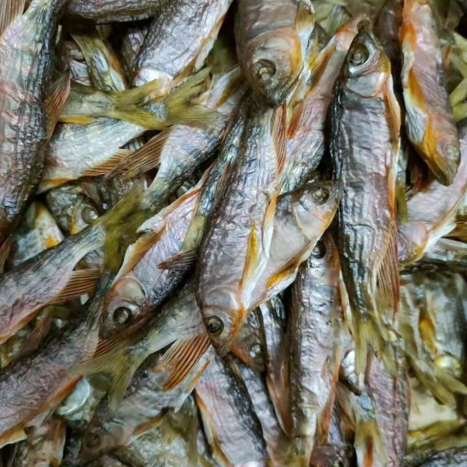 江西新鲜水产小鱼干干货淡水散装