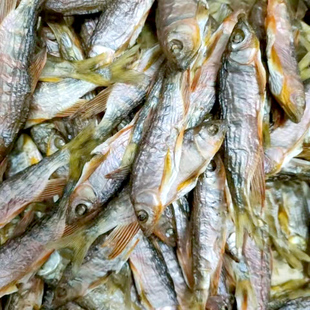 江西烘干小鱼仔马口鱼干桃花鱼干淡水鱼干农家下酒菜溪鱼小杂鱼