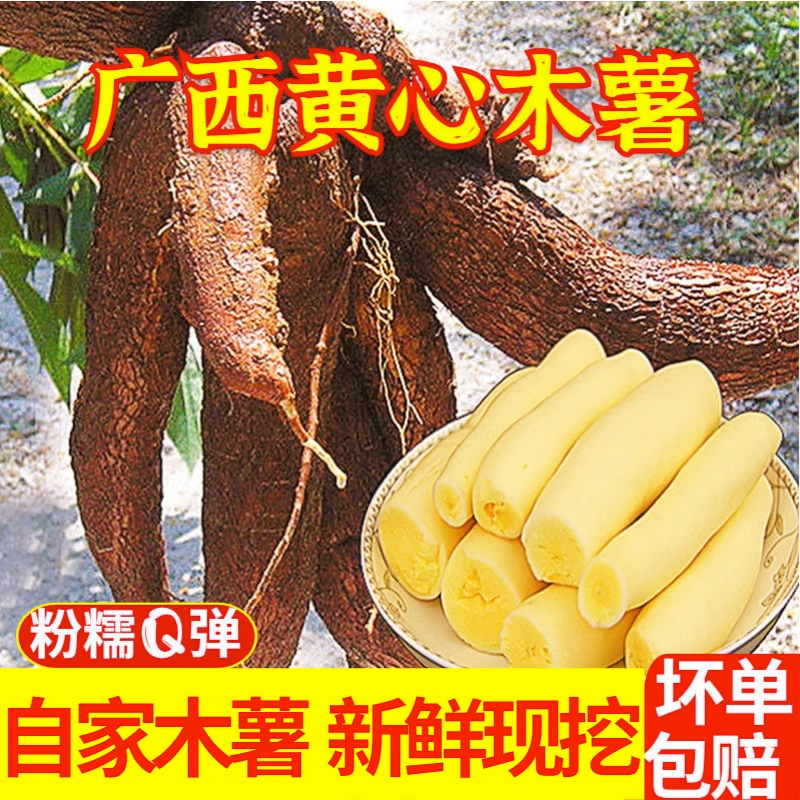 广西农家特产黄心木薯新鲜现挖黄