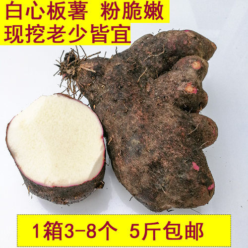 白心薯子现挖新鲜白山药脚板薯