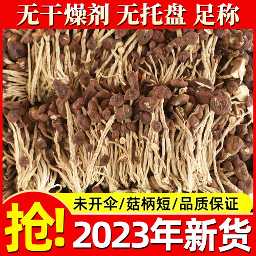 江西干鱼茶树菇干货特级