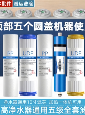 志高净水器滤芯通用HR-101/103/T580S/T550/H908/SH001/H7/H608芯