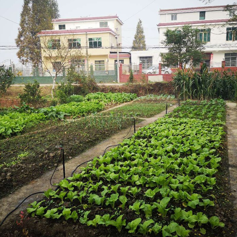 农田微喷大棚地插喷淋旋转360度喷头系统菜地花园喷灌浇水4分pe管