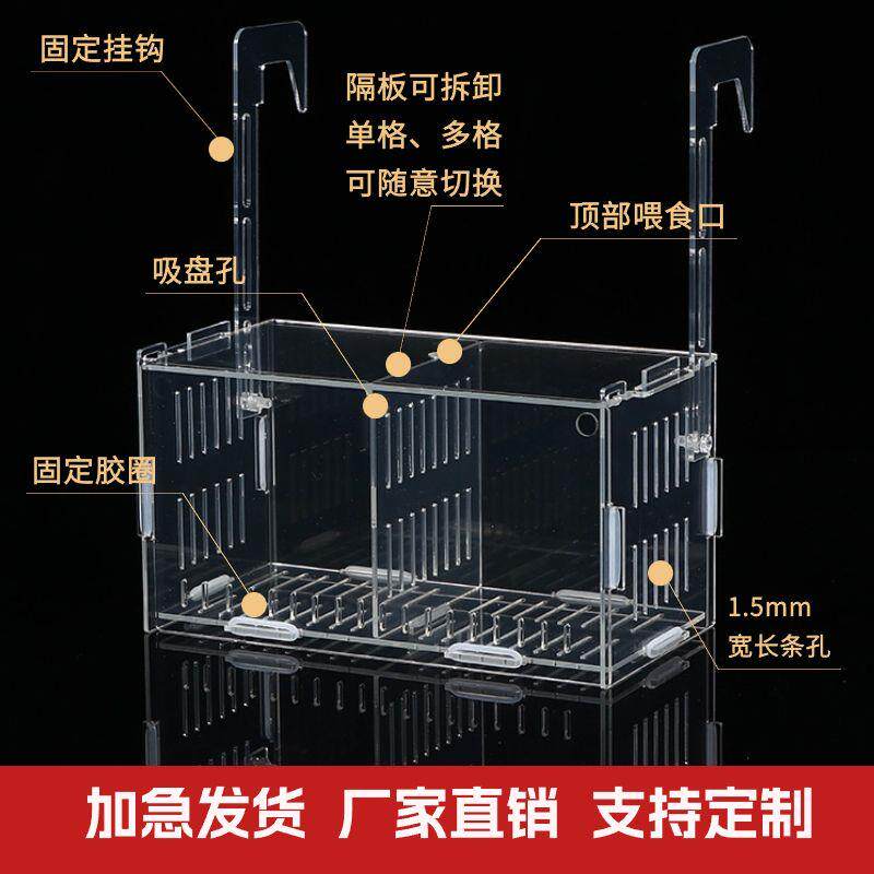 鱼缸水培植物固定架壁挂水培器皿定植篮亚克力花盆定植蓝加深水草