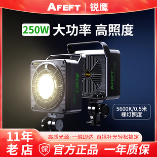 锐鹰SQ2补光灯拍摄视频直播带货250W可调色温AFEFT系列短视频抖音快手直播电商拍摄影灯保荣口LED常亮双色温