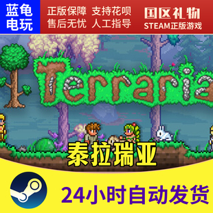PC中文游戏 泰拉瑞亚 Terraria steam正版 国区礼物 在线入库
