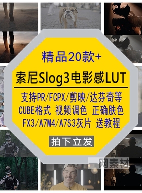 索尼Slog3商业电影感LUT视频调色FX3/A7M4/A7S3灰片正确肤色素材