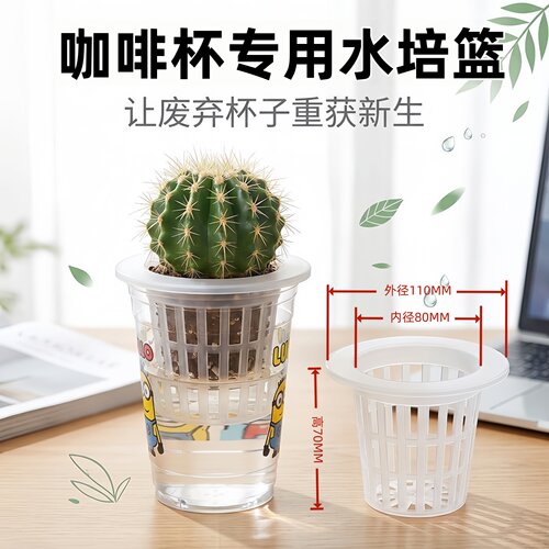 适合咖啡杯养花定植篮固定架大杯超大杯通用水培多肉绿植篮子