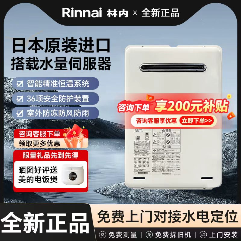 Rinnai/林内进口室外热水器16升