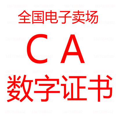 代办全国CA数字证书电子签章江西电子卖场CA认证广东智慧云平台