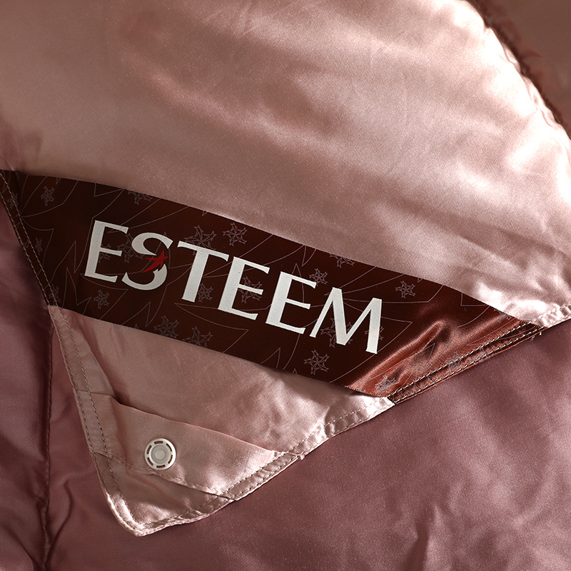 esteem/宜庭维恩鹅绒冬被