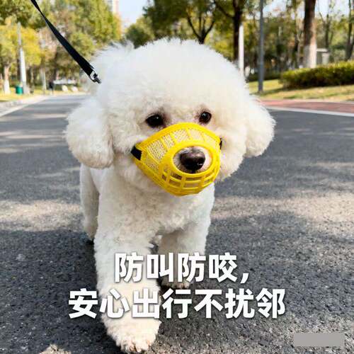 比熊专用狗狗嘴套防咬叫防乱吃泰迪柯基嘴巴罩中小型犬口罩止吠器