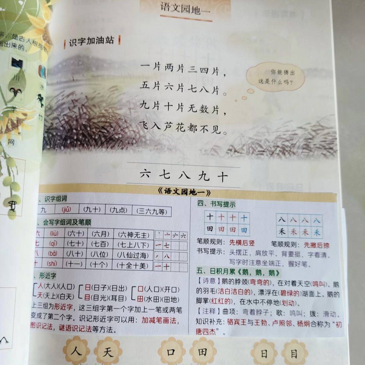 新版一年级上册语文知识点汇总课课贴一课一贴彩印版14张
