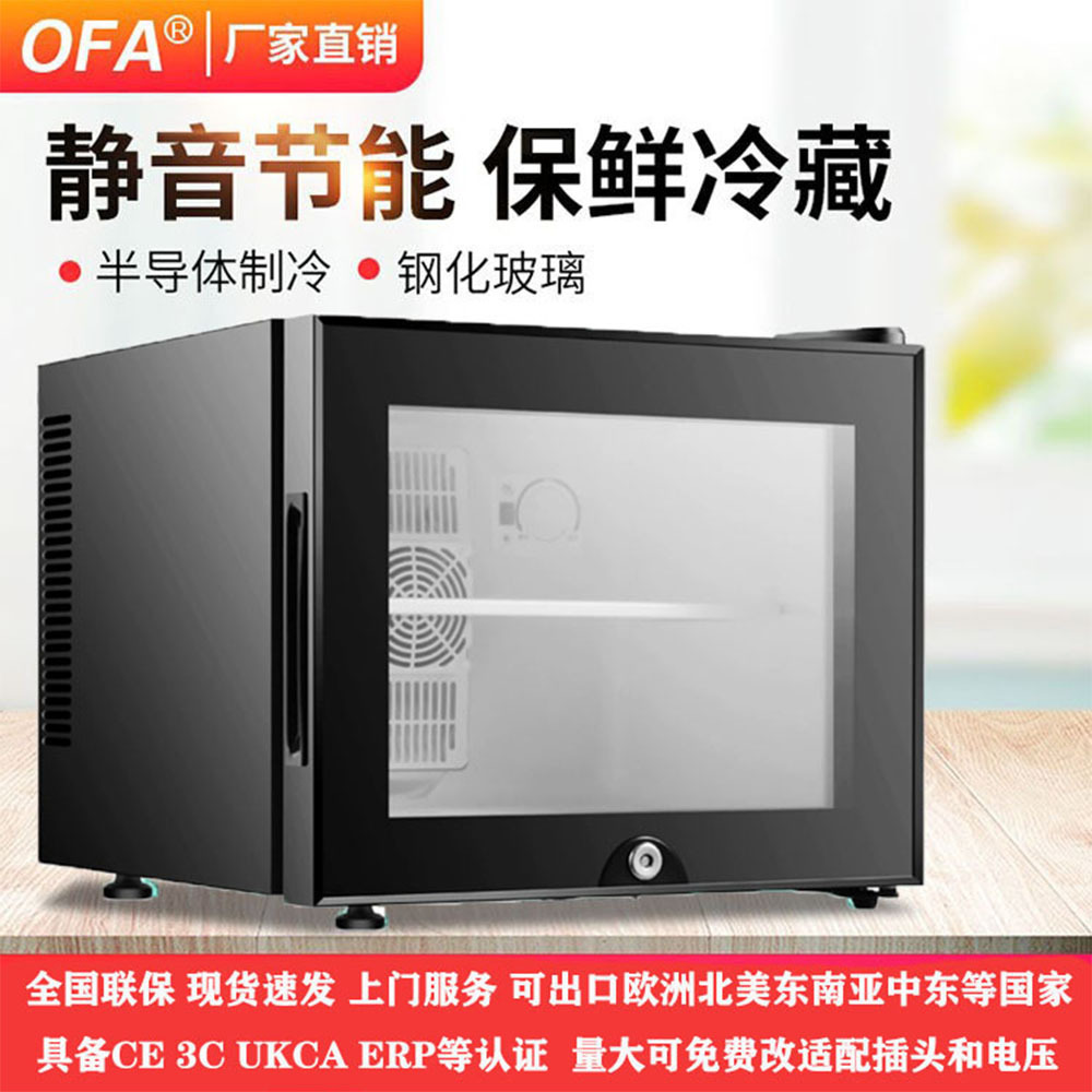 20L静音家用民宿酒店客房小冰箱 半导体小型保鲜迷你冰箱