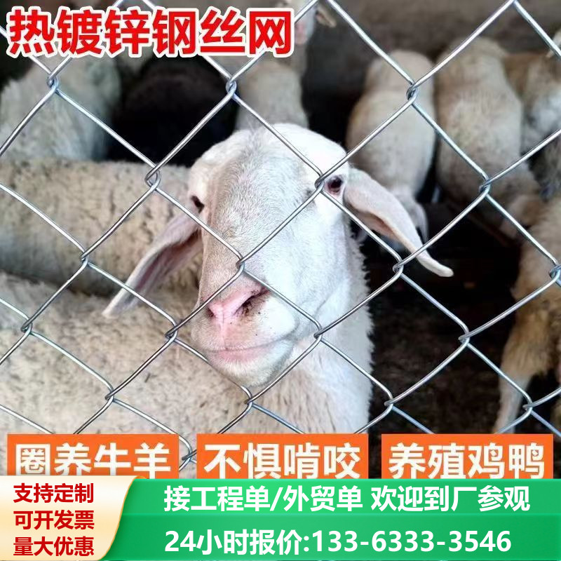 热镀锌铁丝网养殖勾花网围栏养鸡牛羊围栏网钢丝网果园防锈防护网,五金/工具,护栏/隔离栏,淘宝优惠券,粉丝福利购,淘宝优惠卷