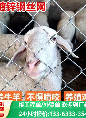 热镀锌铁丝网养殖勾花网围栏养鸡牛羊围栏网钢丝网果园防锈防护网