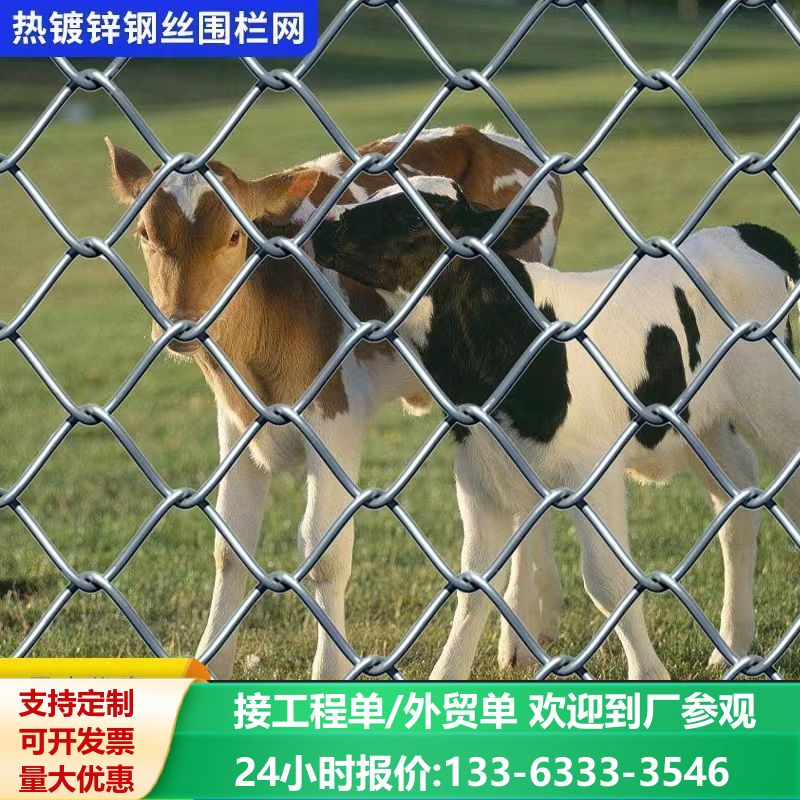 热镀锌铁丝网围栏网防锈防护网