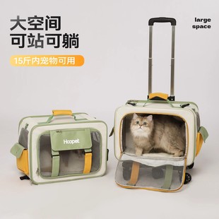 猫包猫咪背包外出便携两只多猫狗狗大容量行李箱宠物拉杆箱航空箱