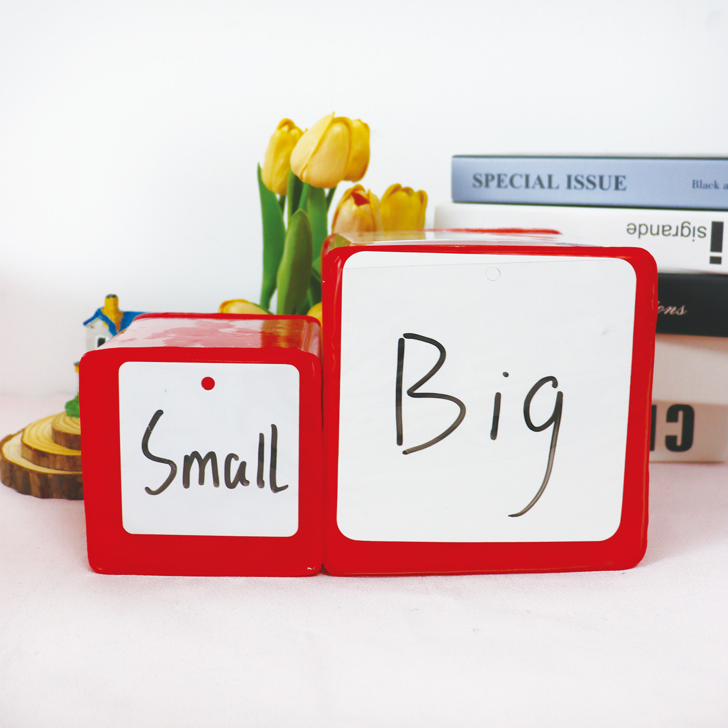 大号骰子可插卡英语教具幼儿园公开课识字游戏大色子儿童玩具筛子,运动/瑜伽/健身/球迷用品,色子/骰子,淘宝优惠券,粉丝福利购,淘宝优惠卷