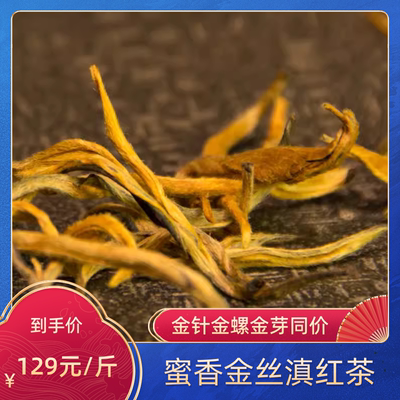 2024年春茶滇红茶特级云南凤庆金丝大金芽大金针蜜香金螺经典58茶