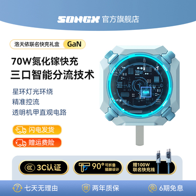 SONGX洛天依联名氮化镓充电器头65w 70w桌面充电器适用于安卓苹果iphone16手机快充usb充电头多口通用