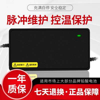 适用速派奇电动车电瓶充电器48V12AH20AH60V72V速派奇电动车