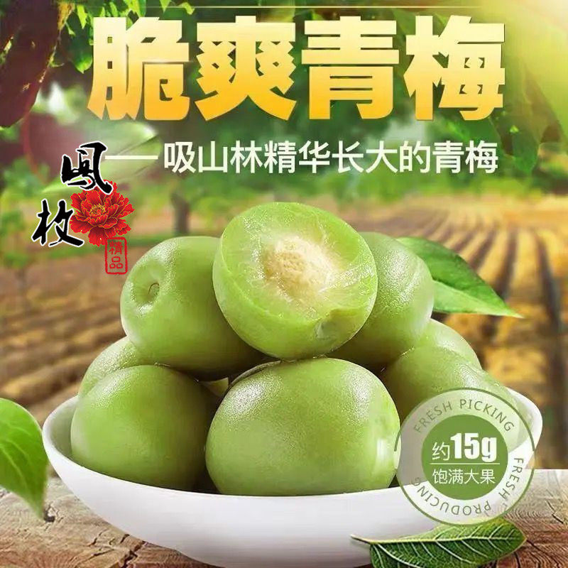 青脆梅5斤装脆梅青梅新鲜腌制