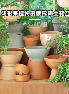 帝罗马粗红白陶土矮款北欧简约阳台户外花园庭院种菜种球碗型花盆