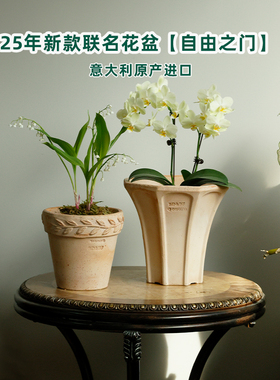 bdbfDEROMA帝罗马联名款自由之门手工客厅阳台花卉绿植盆栽陶盆