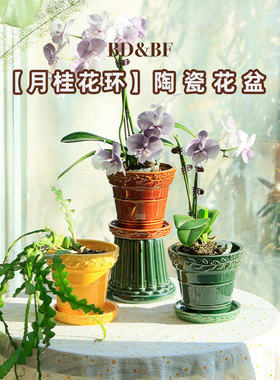 高级感BDBF绿植小号家用陶瓷花盆