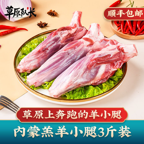 草原队长羊小腿好吃不膳